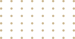 https://xetienchuyen24h.vn/wp-content/uploads/2020/04/floater-gold-dots.png